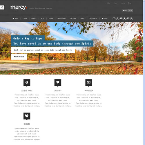 Wordpress企业产品展示MERCY模板