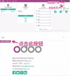 开启Odoo 9中的开发者模式