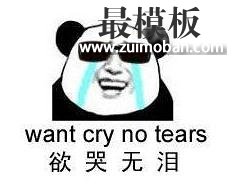 欲哭无泪