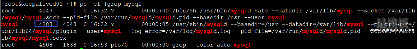 忘记MySQL密码怎么办