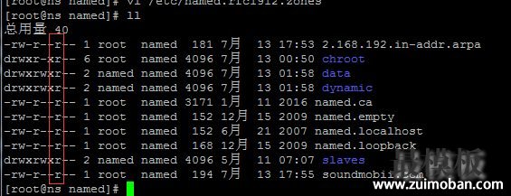 centos 6.5 DNS服务器搭建详细介绍