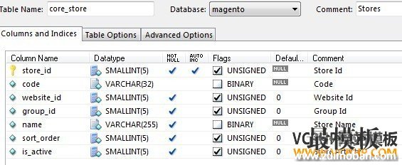 Magento core_store表结构