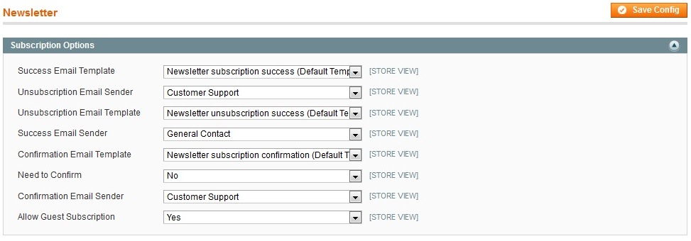 magento_newsletter_1[1]