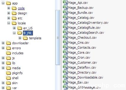 Magento multiple language