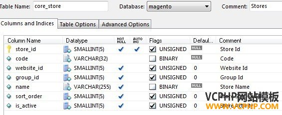 Magento core_store表结构