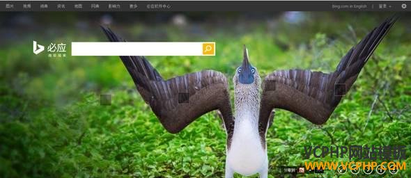 Google被禁后，你该如何搜索外贸客户？